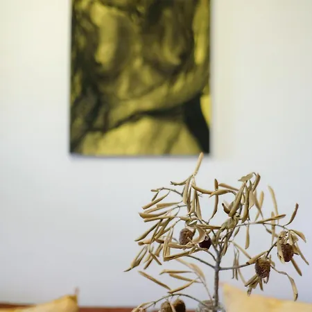 Historic Center Boutique 3 - Free Parking - Schlossberg View - By Casa Momo