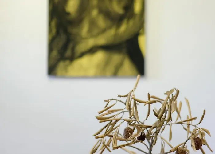 Historic Center Boutique 3 - Free Parking - Schlossberg View - By Casa Momo